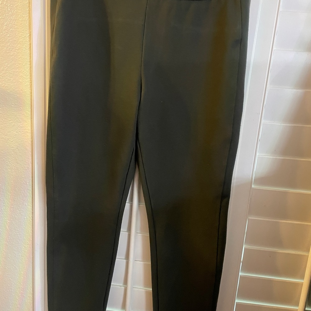 Express Skinny and Cropped Active Pants